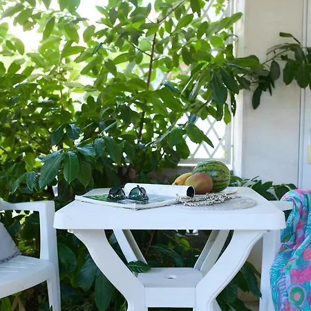 Hedera Estate, Hedera 6 Ντουμπρόβνικ